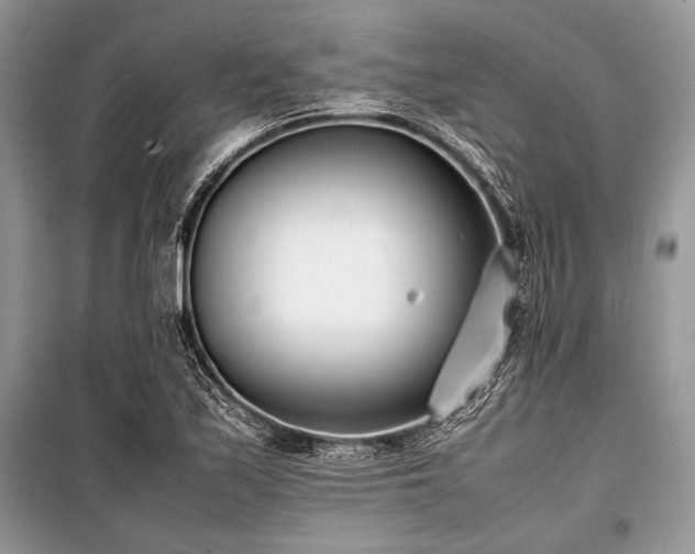 X0000100981171200806241535