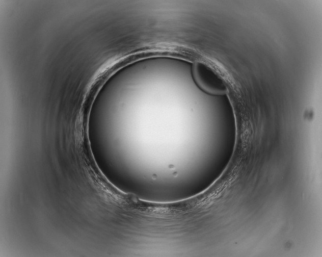 X0000100981172200806241535