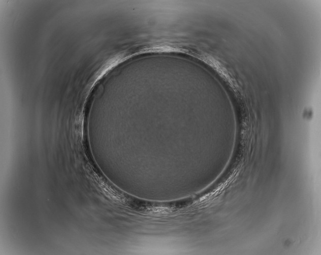 X0000100981173200806241535