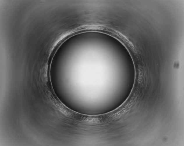 X0000100981174200806241535