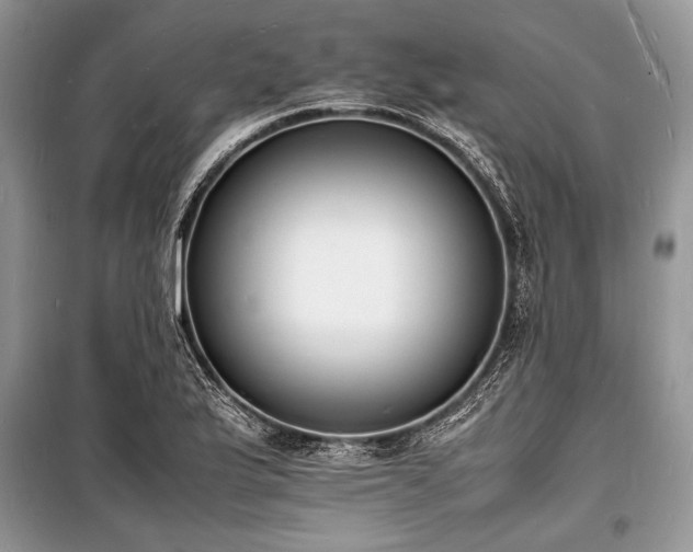 X0000100981175200806241535