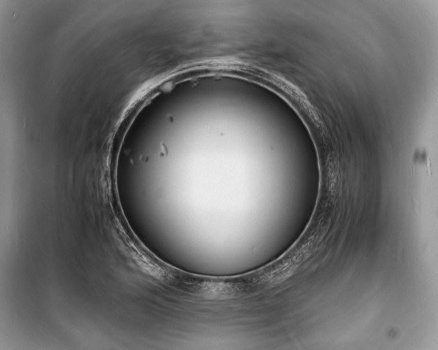 X0000100981176200806241535