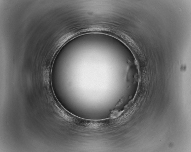 X0000100981177200806241535