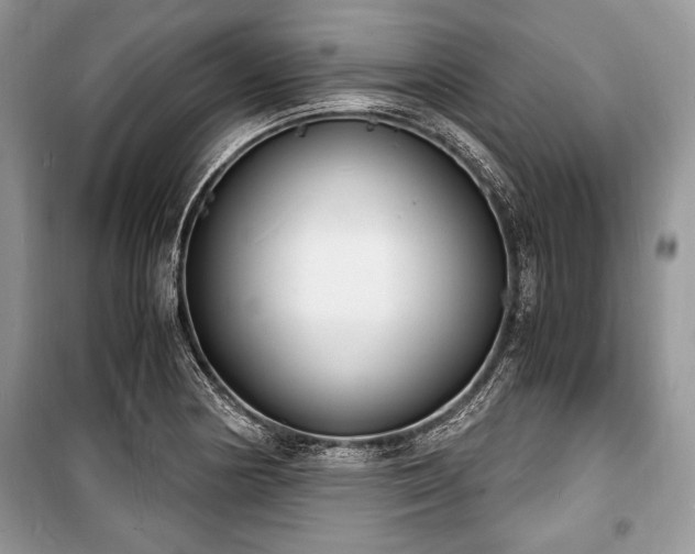 X0000100981178200806241535