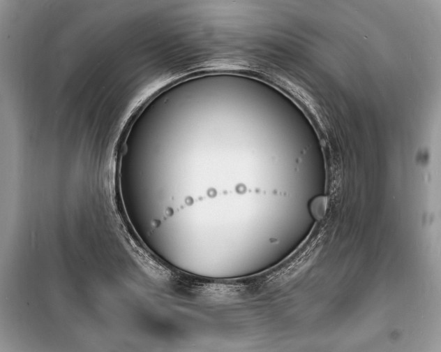 X0000100981179200806241535