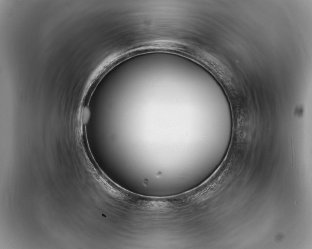 X0000100981180200806241535