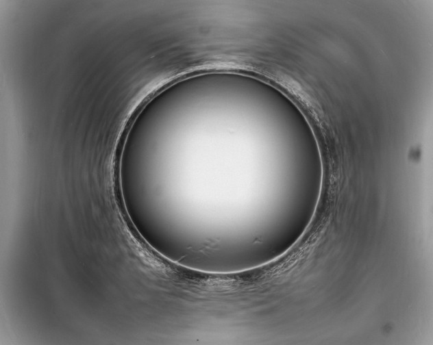 X0000100981181200806241535