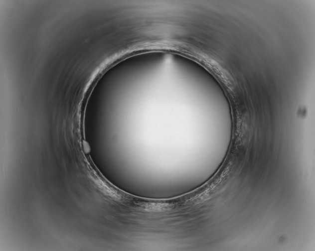 X0000100981184200806241535