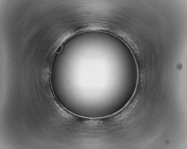 X0000100981185200806241535