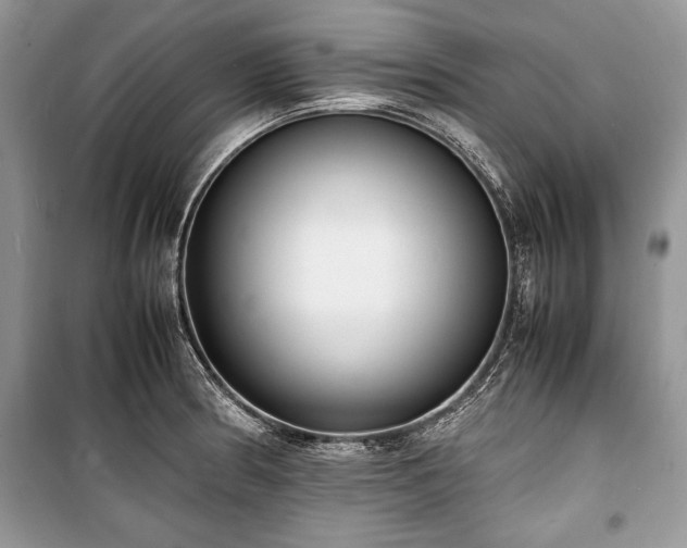 X0000100981186200806241535
