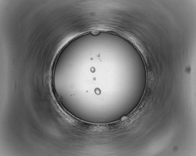 X0000100981187200806241535