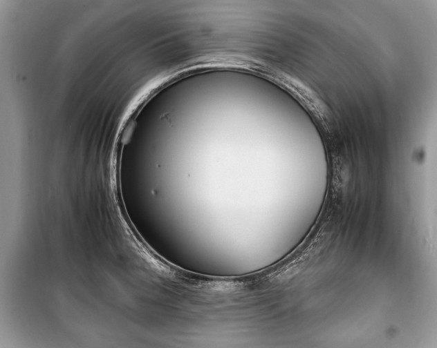 X0000100981188200806241535