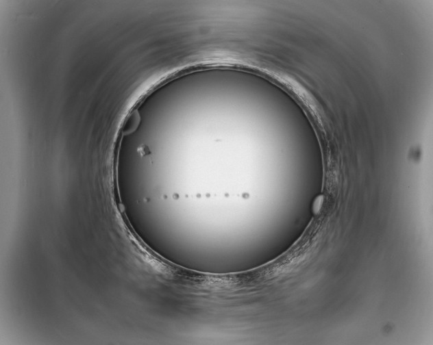 X0000100981191200806241535