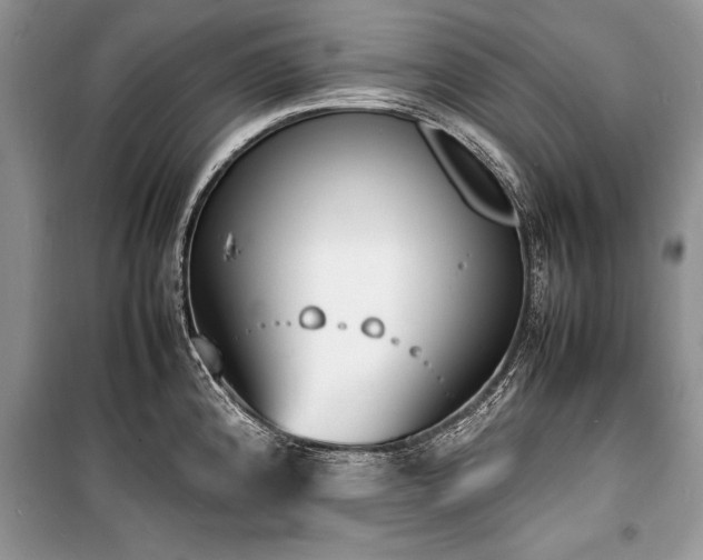 X0000100981192200806241535
