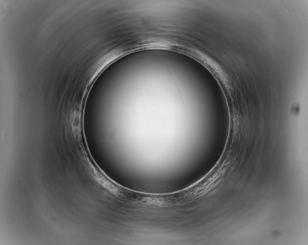 X0000100981194200806241535