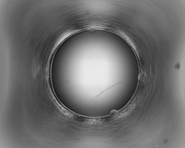 X0000100981195200806241535