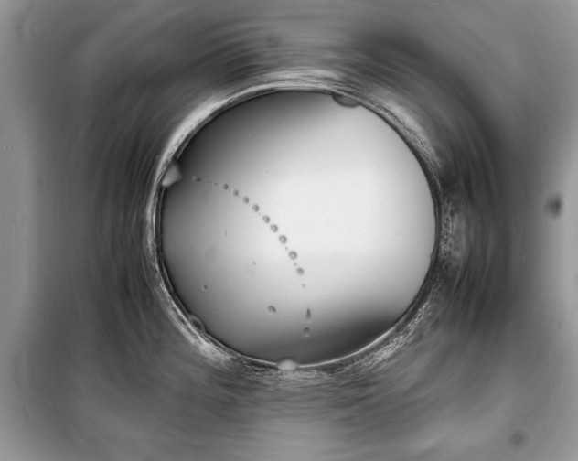 X0000100981196200806241535
