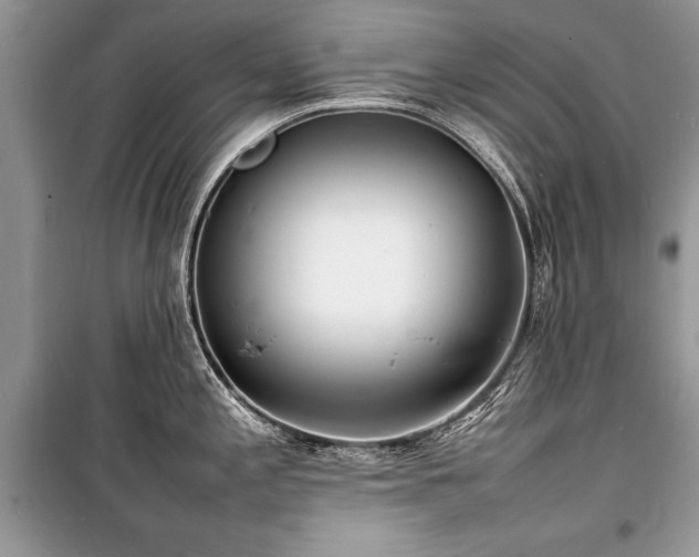 X0000100981197200806241535