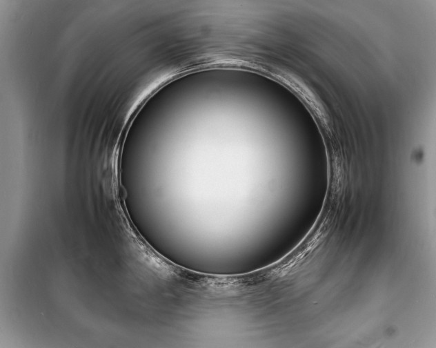 X0000100981198200806241535