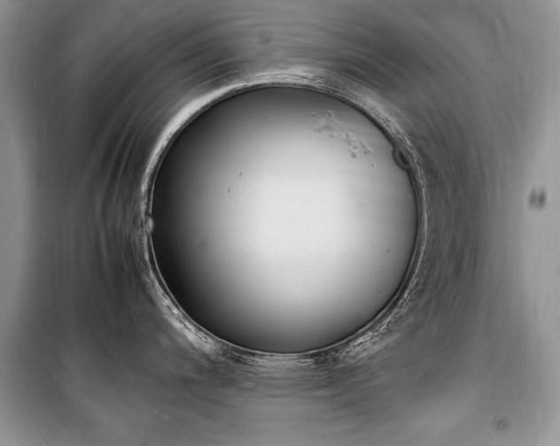 X0000100981200200806241535