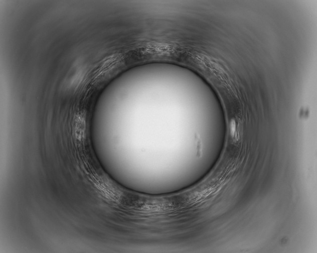 X0000100981203200806241534