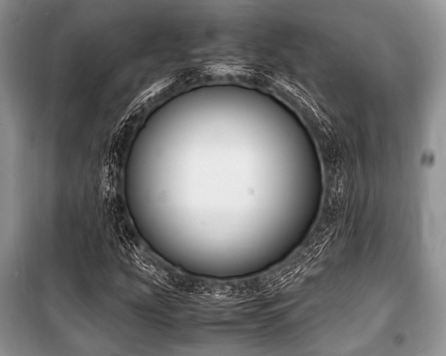 X0000100981207200806241534