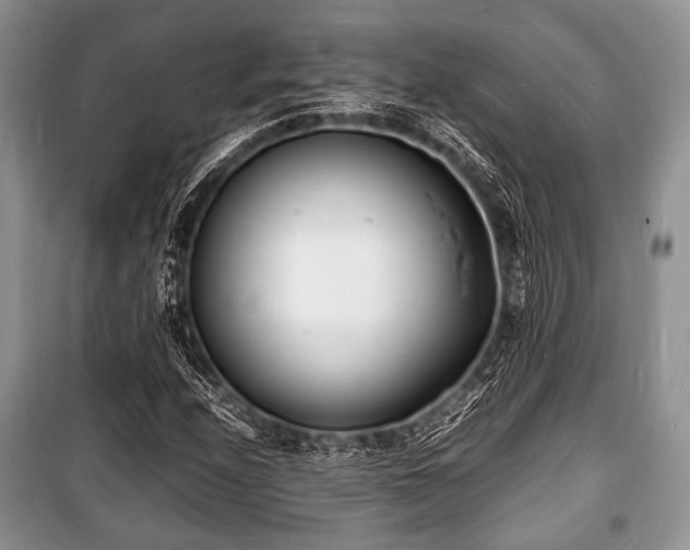 X0000100981208200806241534