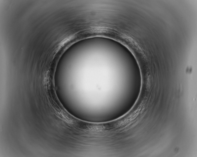 X0000100981210200806241534