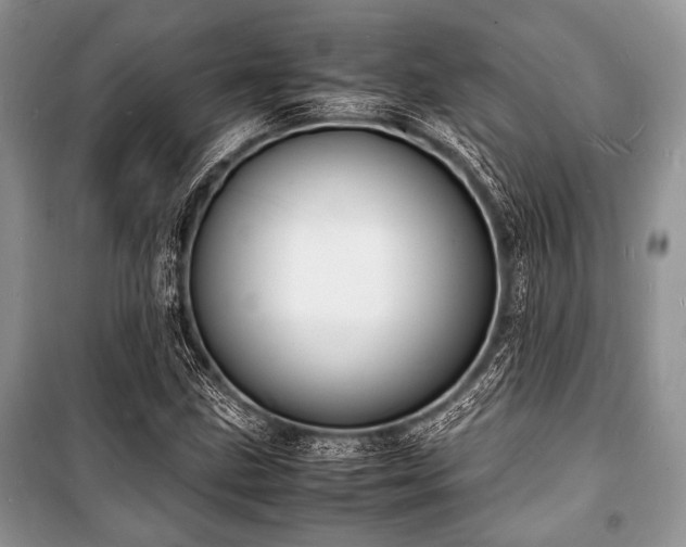 X0000100981211200806241534