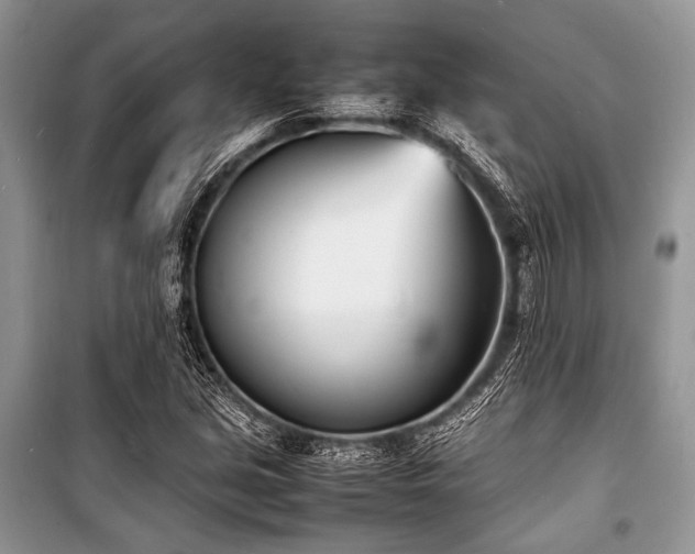 X0000100981213200806241535