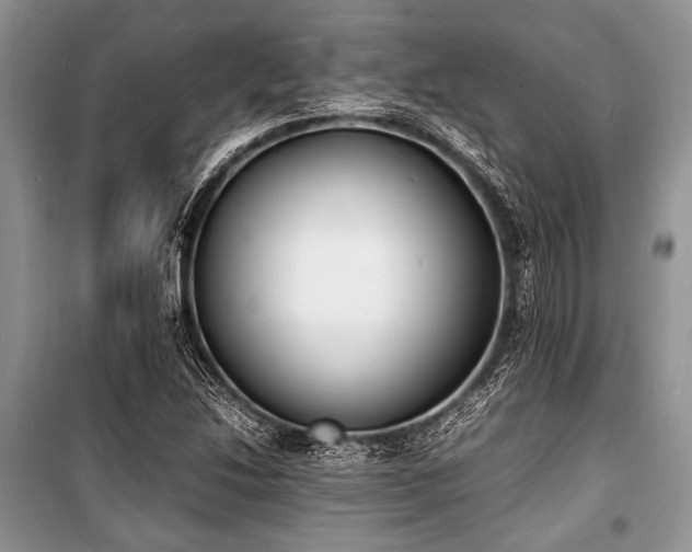 X0000100981214200806241535
