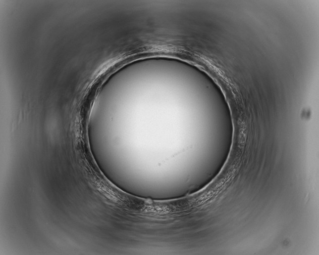 X0000100981215200806241535