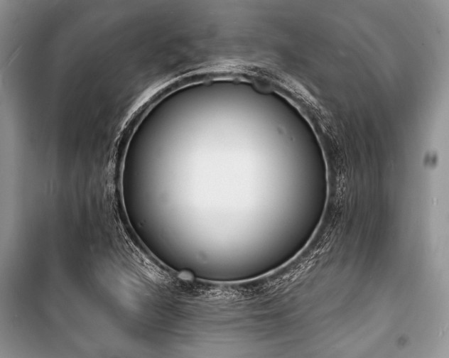 X0000100981216200806241535