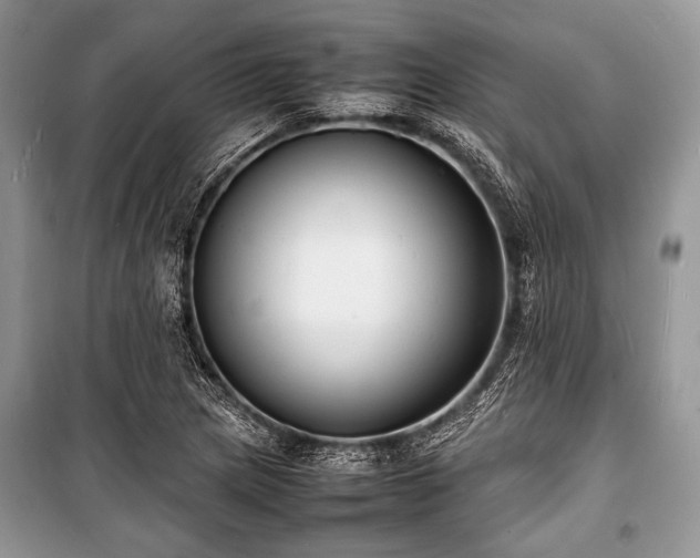 X0000100981217200806241535