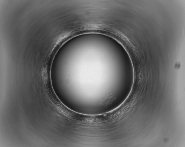 X0000100981218200806241535