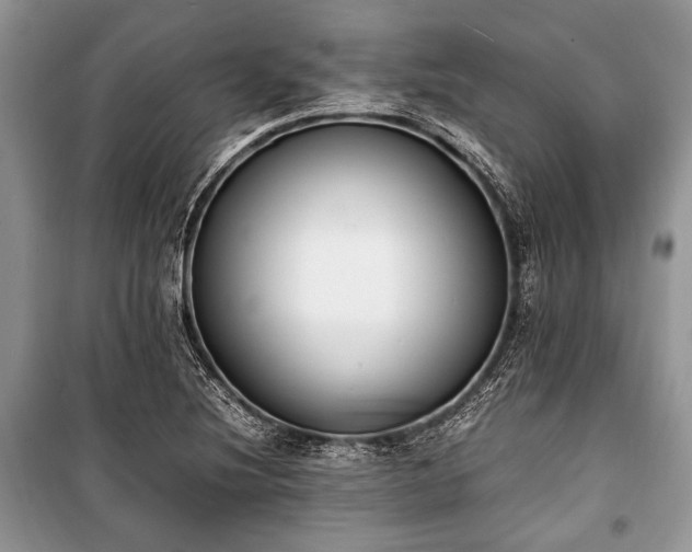 X0000100981220200806241535