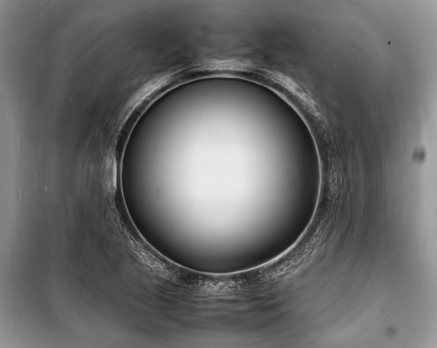 X0000100981221200806241535