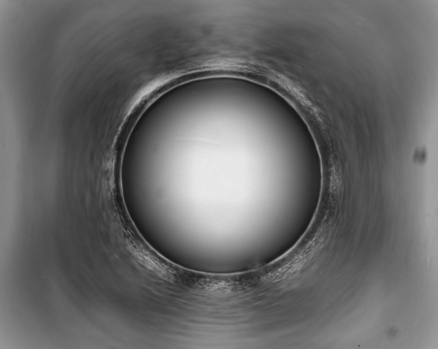 X0000100981222200806241535