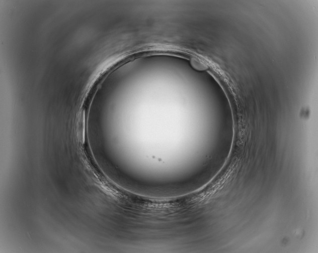 X0000100981223200806241535