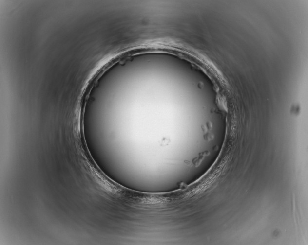 X0000100981224200806241535