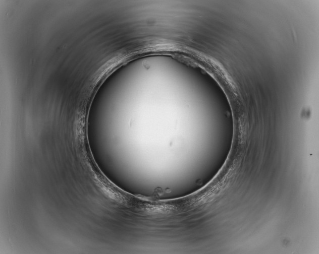 X0000100981225200806241535