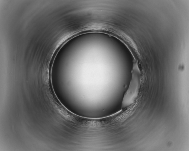 X0000100981226200806241535
