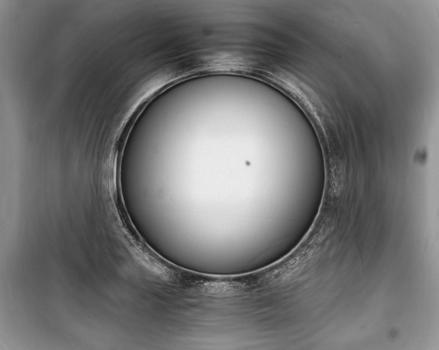 X0000100981227200806241535