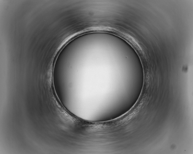 X0000100981228200806241535
