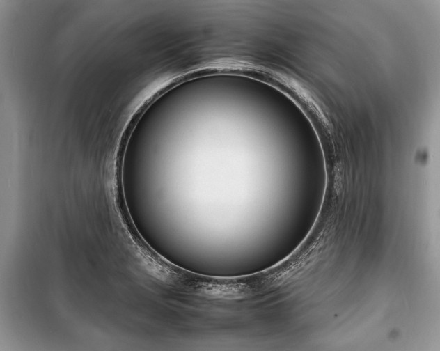 X0000100981229200806241535