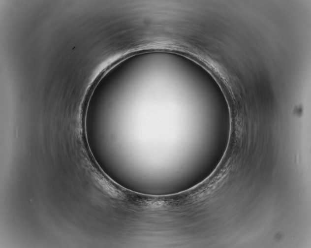X0000100981230200806241535
