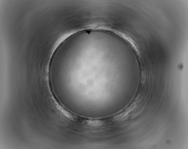 X0000100981231200806241535