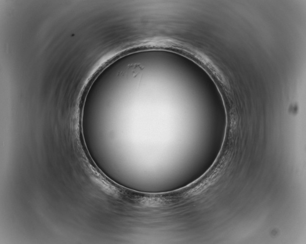 X0000100981232200806241535