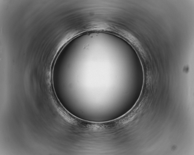 X0000100981234200806241535