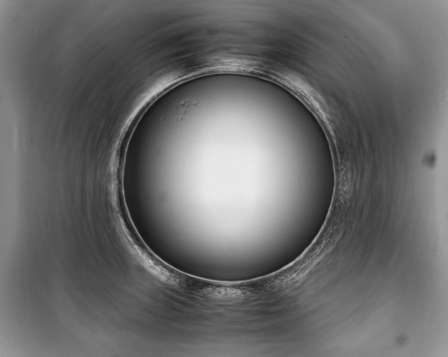 X0000100981235200806241535